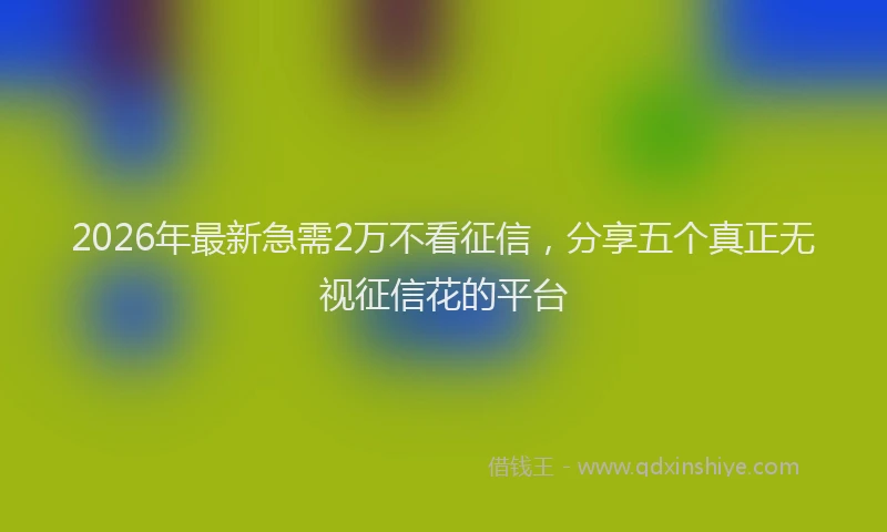 2026年最新急需2万不看征信，分享五个真正无视征信花的平台