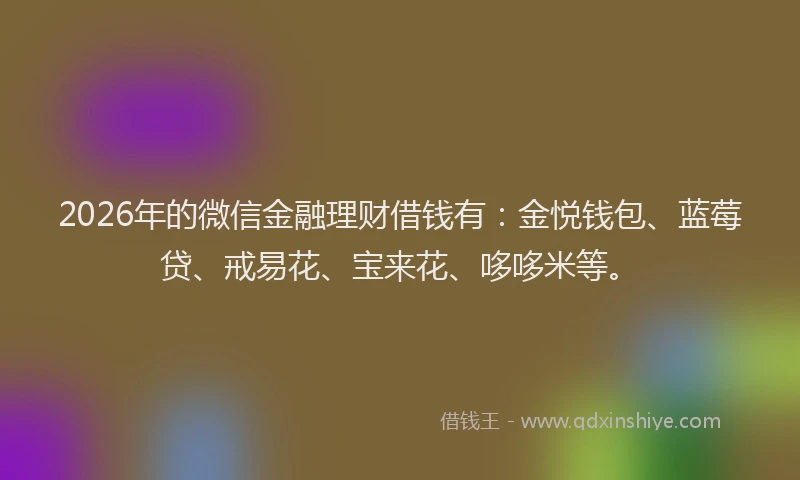 2026年的微信金融理财借钱有：金悦钱包、蓝莓贷、戒易花、宝来花、哆哆米等。