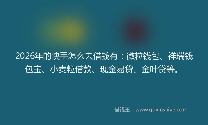 2026年的快手怎么去借钱有:微粒钱包、祥瑞钱包宝、小麦粒借款、现金易贷、金叶贷等。