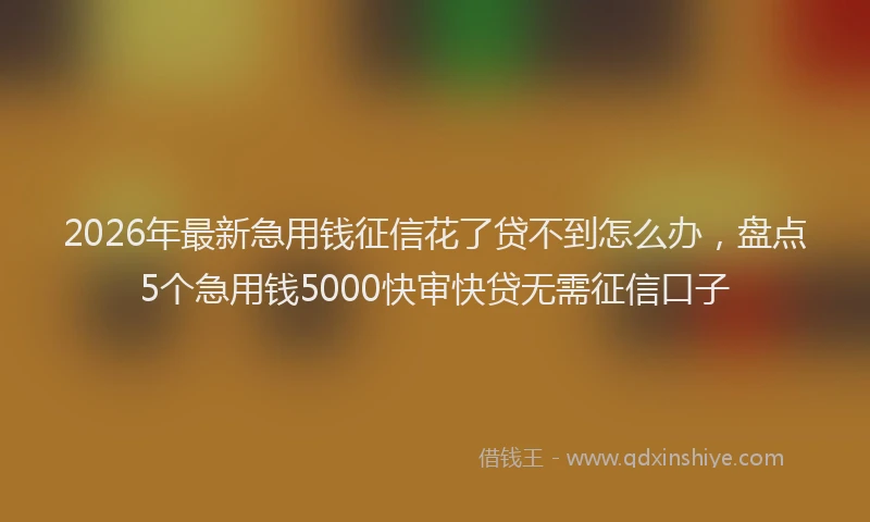 2026年最新急用钱征信花了贷不到怎么办,盘点5个急用钱5000快审快贷无需征信口子