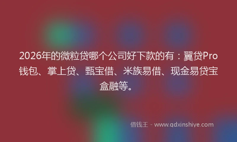 2026年的微粒贷哪个公司好下款的有：翼贷Pro钱包、掌上贷、甄宝借、米族易借、现金易贷宝盒融等。