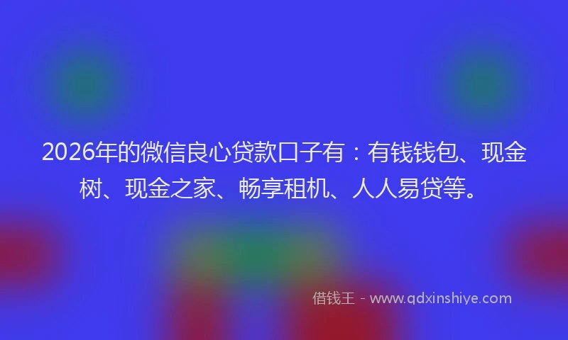 2026年的微信良心贷款口子有：有钱钱包、现金树、现金之家、畅享租机、人人易贷等。