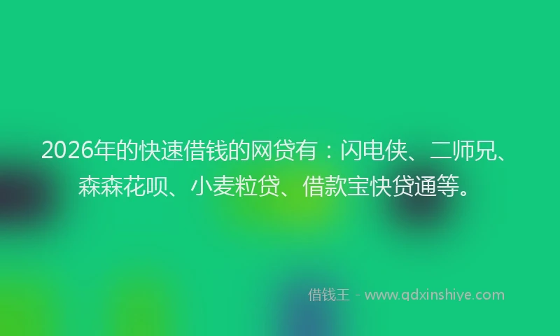 2026年的快速借钱的网贷有：闪电侠、二师兄、森森花呗、小麦粒贷、借款宝快贷通等。