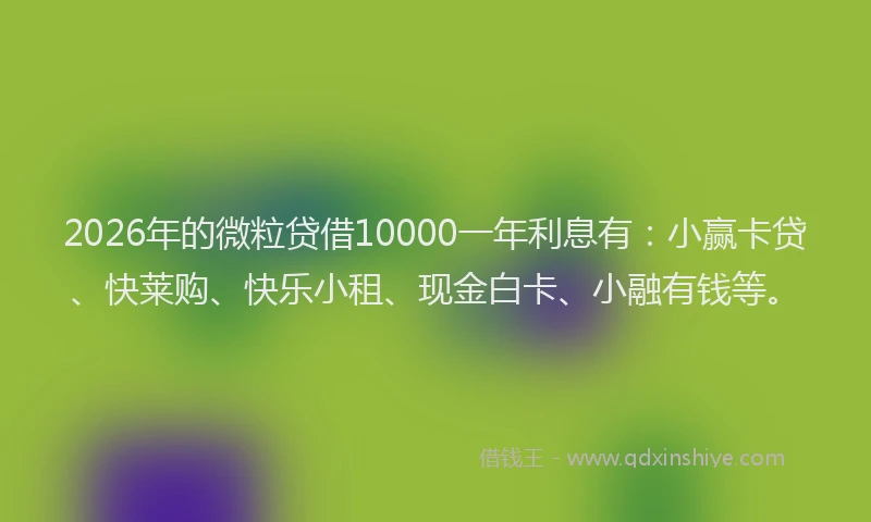 2026年的微粒贷借10000一年利息有：小赢卡贷、快莱购、快乐小租、现金白卡、小融有钱等。