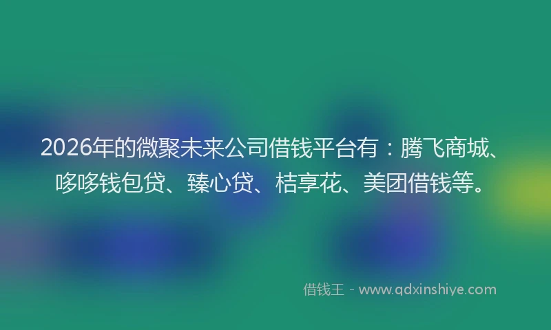 2026年的微聚未来公司借钱平台有：腾飞商城、哆哆钱包贷、臻心贷、桔享花、美团借钱等。