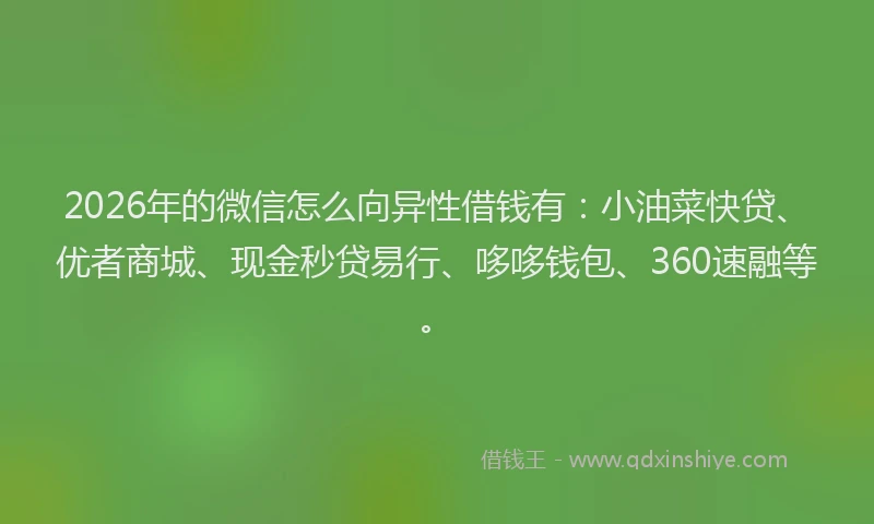 2026年的微信怎么向异性借钱有：小油菜快贷、优者商城、现金秒贷易行、哆哆钱包、360速融等。
