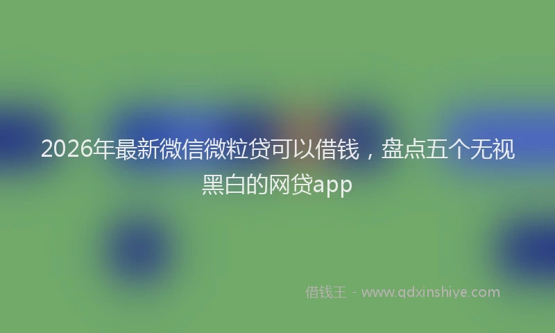 2026年最新微信微粒贷可以借钱，盘点五个无视黑白的网贷app