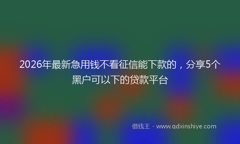 2026年最新急用钱不看征信能下款的，分享5个黑户可以下的贷款平台