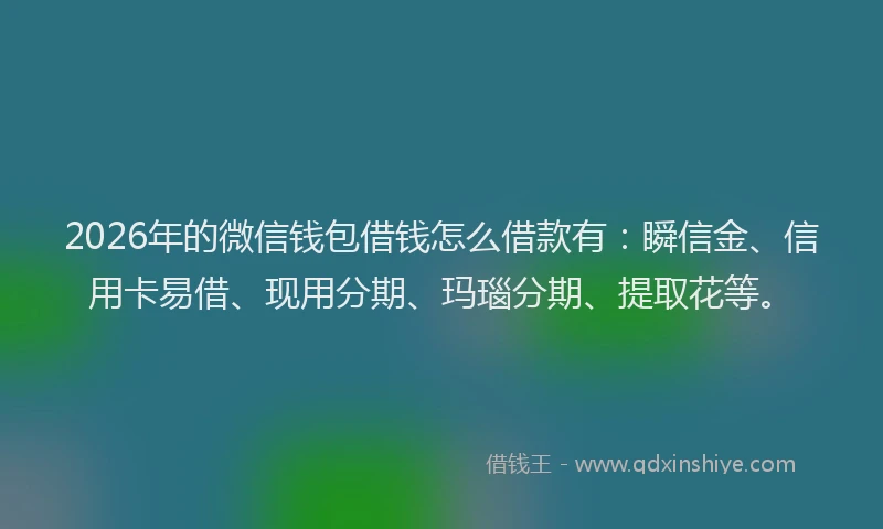 2026年的微信钱包借钱怎么借款有：瞬信金、信用卡易借、现用分期、玛瑙分期、提取花等。