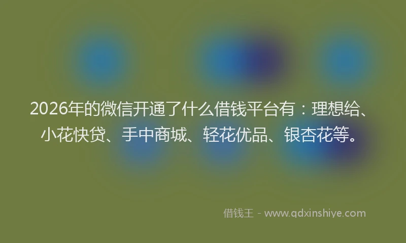 2026年的微信开通了什么借钱平台有：理想给、小花快贷、手中商城、轻花优品、银杏花等。
