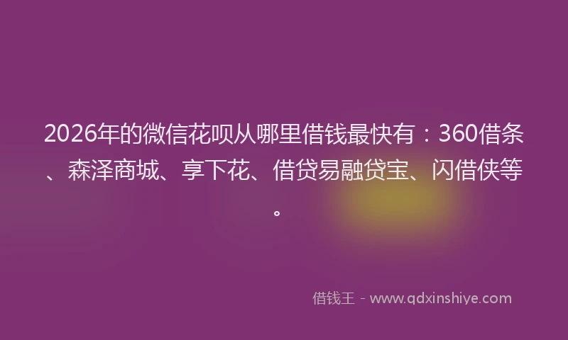 2026年的微信花呗从哪里借钱最快有：360借条、森泽商城、享下花、借贷易融贷宝、闪借侠等。