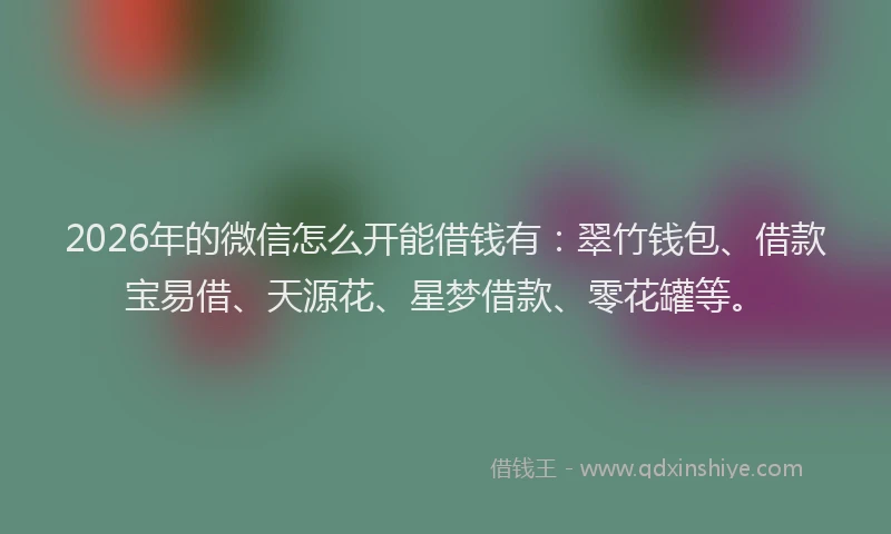 2026年的微信怎么开能借钱有：翠竹钱包、借款宝易借、天源花、星梦借款、零花罐等。