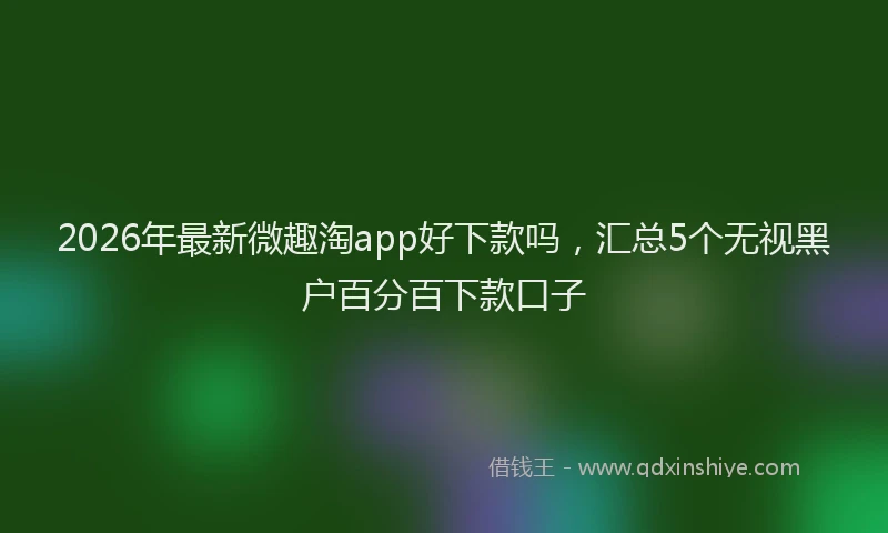 2026年最新微趣淘app好下款吗，汇总5个无视黑户百分百下款口子