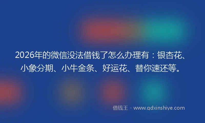 2026年的微信没法借钱了怎么办理有：银杏花、小象分期、小牛金条、好运花、替你速还等。