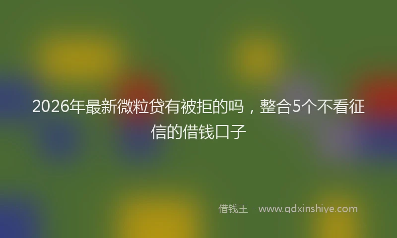 2026年最新微粒贷有被拒的吗，整合5个不看征信的借钱口子