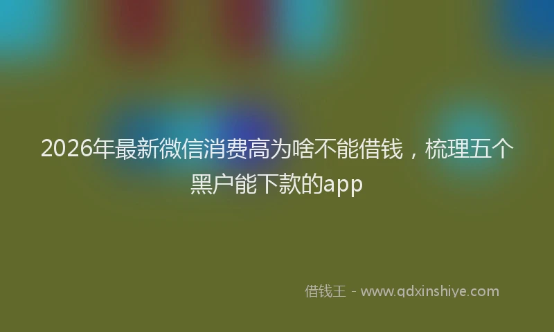 2026年最新微信消费高为啥不能借钱，梳理五个黑户能下款的app