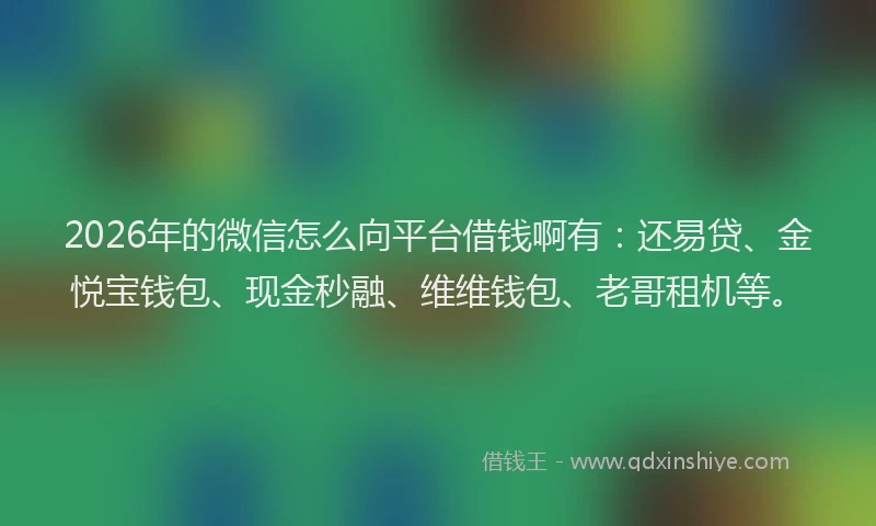 2026年的微信怎么向平台借钱啊有：还易贷、金悦宝钱包、现金秒融、维维钱包、老哥租机等。