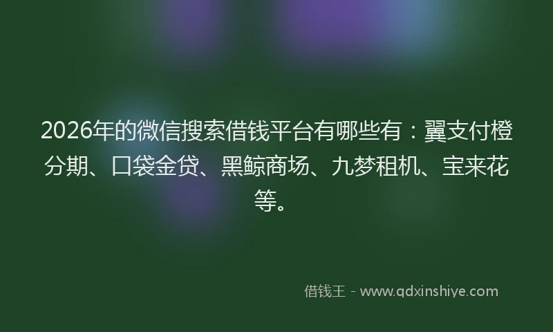 2026年的微信搜索借钱平台有哪些有：翼支付橙分期、口袋金贷、黑鲸商场、九梦租机、宝来花等。