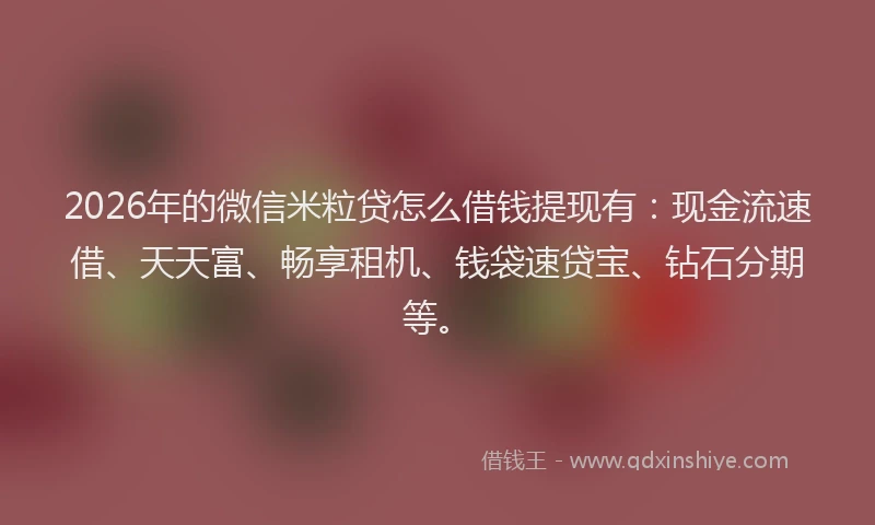 2026年的微信米粒贷怎么借钱提现有：现金流速借、天天富、畅享租机、钱袋速贷宝、钻石分期等。