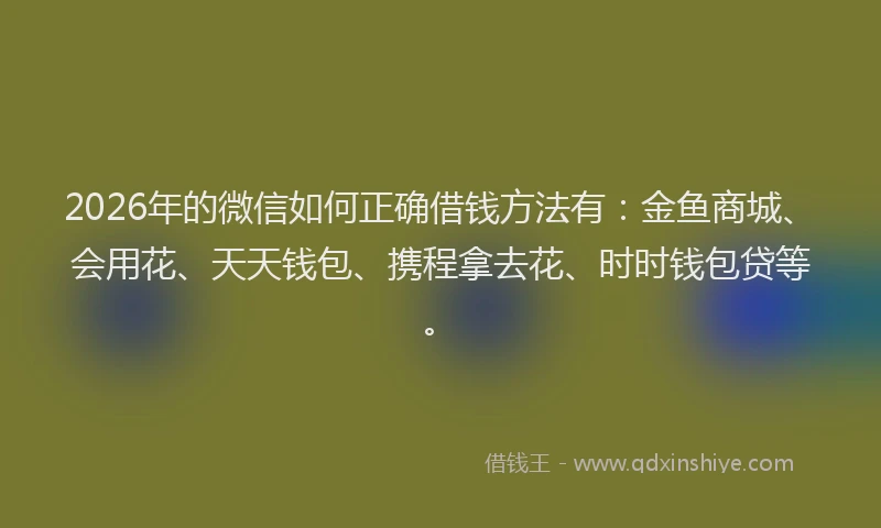 2026年的微信如何正确借钱方法有：金鱼商城、会用花、天天钱包、携程拿去花、时时钱包贷等。