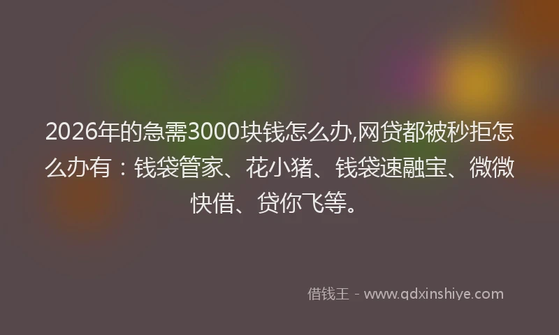 2026年的急需3000块钱怎么办,网贷都被秒拒怎么办有：钱袋管家、花小猪、钱袋速融宝、微微快借、贷你飞等。
