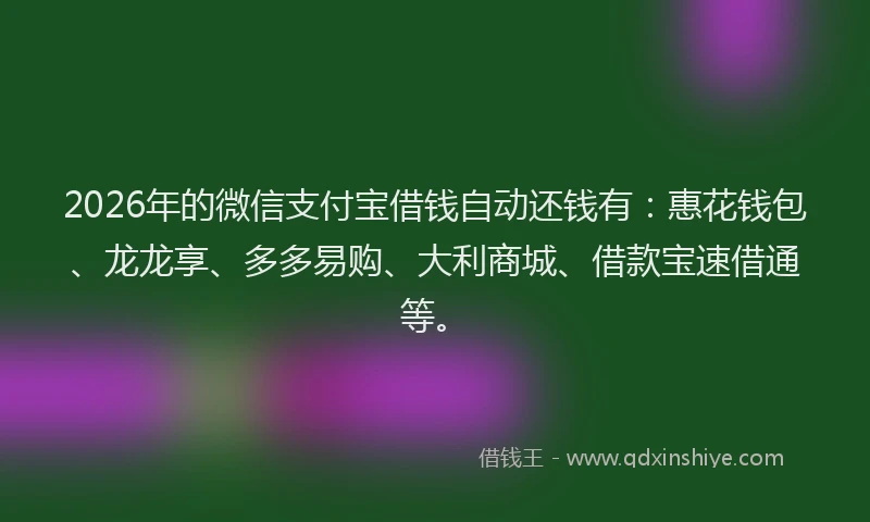 2026年的微信支付宝借钱自动还钱有：惠花钱包、龙龙享、多多易购、大利商城、借款宝速借通等。