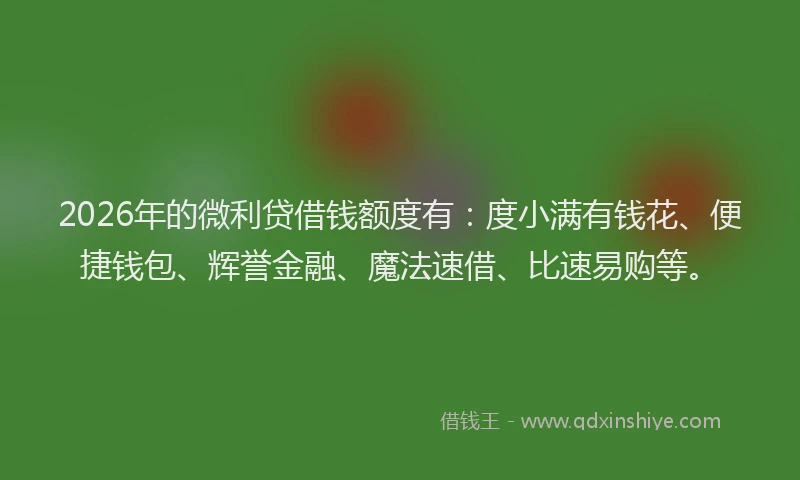 2026年的微利贷借钱额度有：度小满有钱花、便捷钱包、辉誉金融、魔法速借、比速易购等。