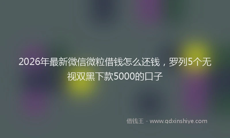 2026年最新微信微粒借钱怎么还钱，罗列5个无视双黑下款5000的口子