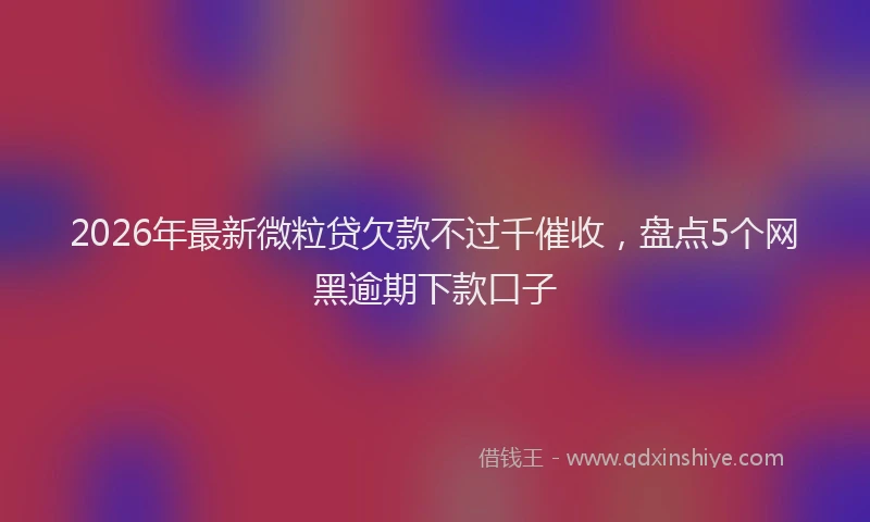 2026年最新微粒贷欠款不过千催收，盘点5个网黑逾期下款口子