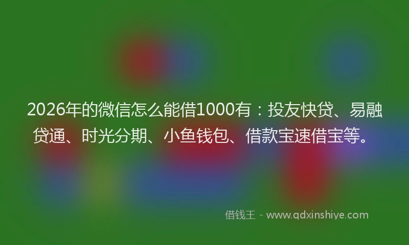 2026年的微信怎么能借1000有：投友快贷、易融贷通、时光分期、小鱼钱包、借款宝速借宝等。