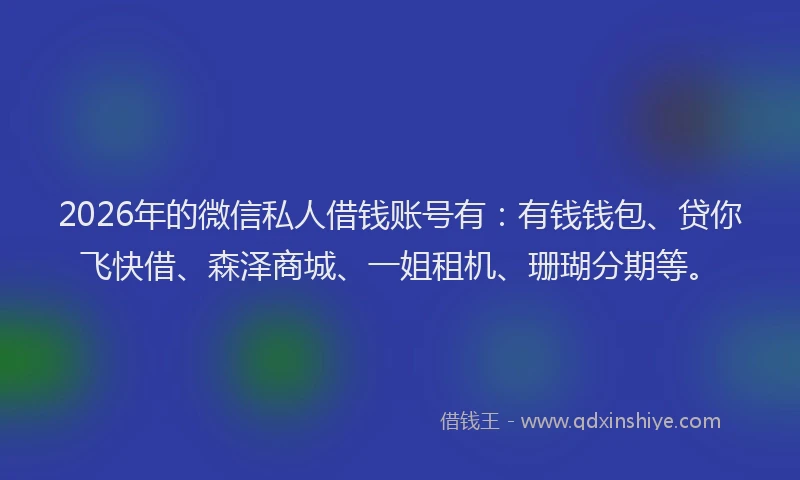 2026年的微信私人借钱账号有：有钱钱包、贷你飞快借、森泽商城、一姐租机、珊瑚分期等。