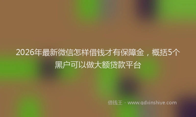 2026年最新微信怎样借钱才有保障金，概括5个黑户可以做大额贷款平台