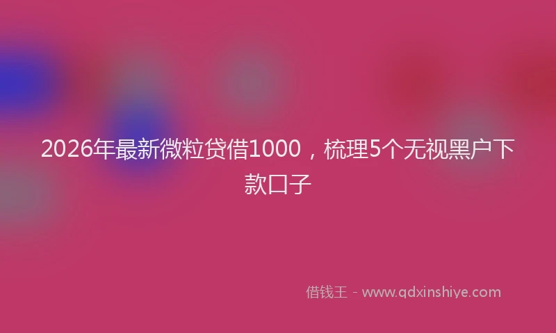 2026年最新微粒贷借1000，梳理5个无视黑户下款口子