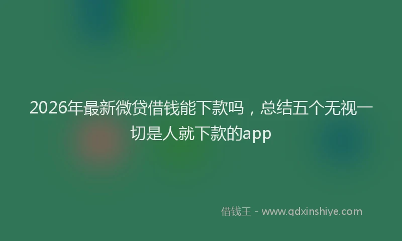 2026年最新微贷借钱能下款吗，总结五个无视一切是人就下款的app