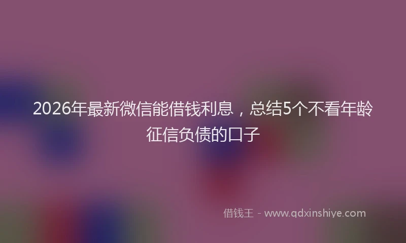 2026年最新微信能借钱利息，总结5个不看年龄征信负债的口子