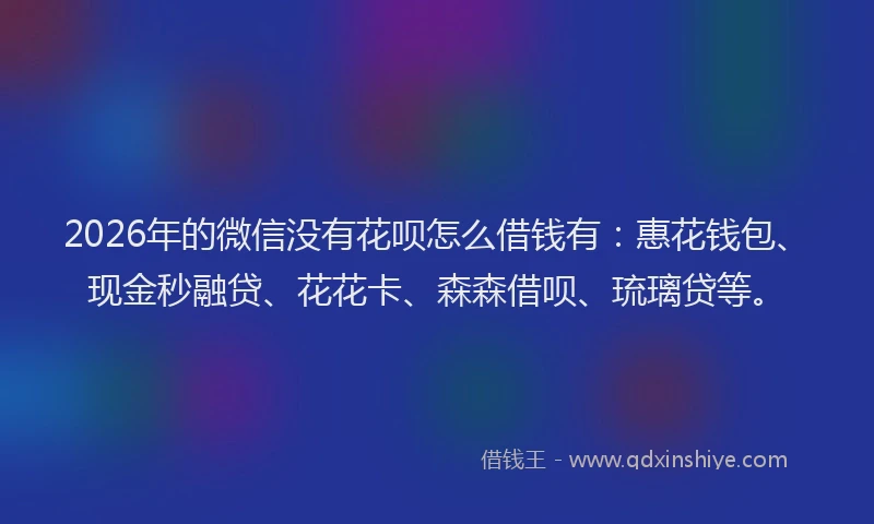 2026年的微信没有花呗怎么借钱有：惠花钱包、现金秒融贷、花花卡、森森借呗、琉璃贷等。