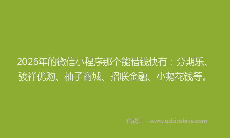 2026年的微信小程序那个能借钱快有：分期乐、骏祥优购、柚子商城、招联金融、小鹅花钱等。