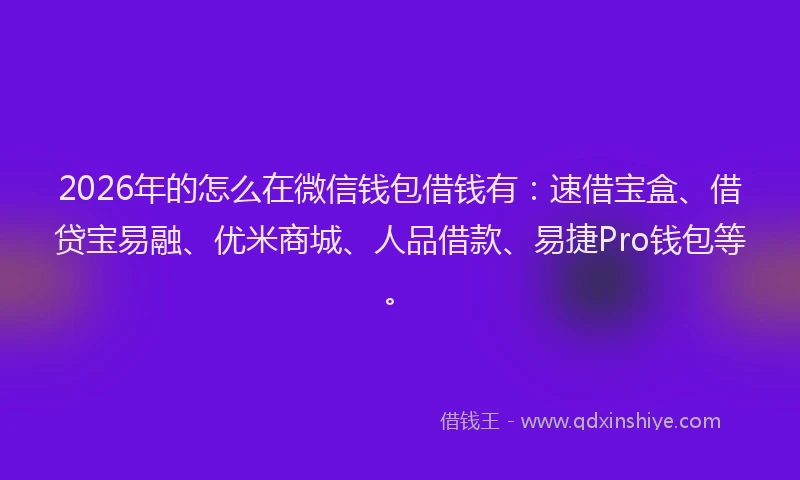 2026年的怎么在微信钱包借钱有:速借宝盒、借贷宝易融、优米商城、人品借款、易捷Pro钱包等。