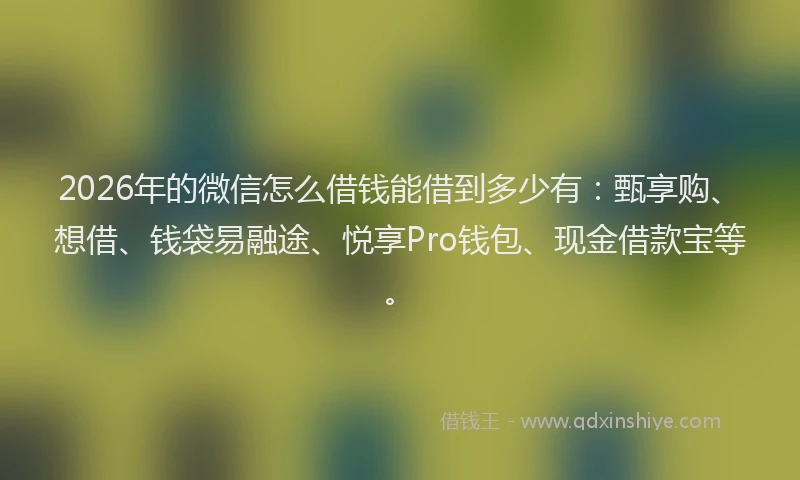 2026年的微信怎么借钱能借到多少有：甄享购、想借、钱袋易融途、悦享Pro钱包、现金借款宝等。