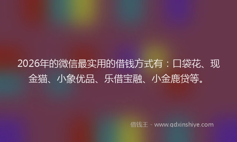 2026年的微信最实用的借钱方式有：口袋花、现金猫、小象优品、乐借宝融、小金鹿贷等。