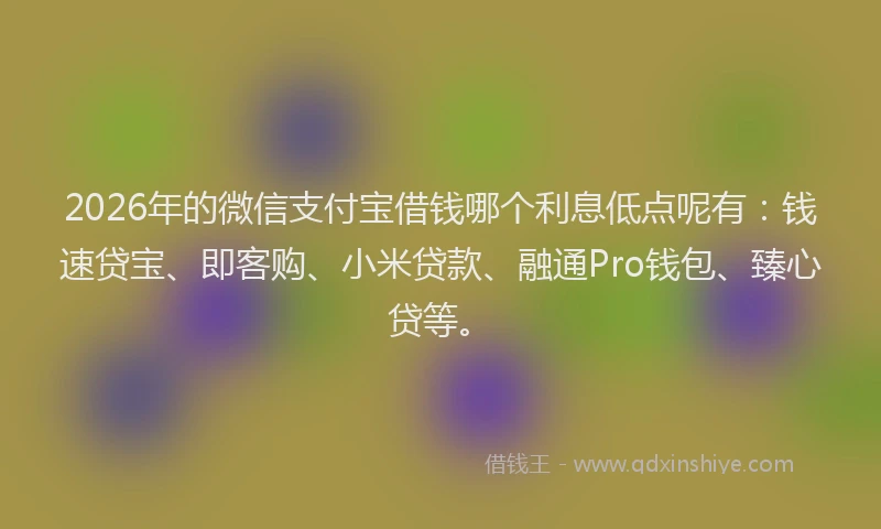 2026年的微信支付宝借钱哪个利息低点呢有：钱速贷宝、即客购、小米贷款、融通Pro钱包、臻心贷等。
