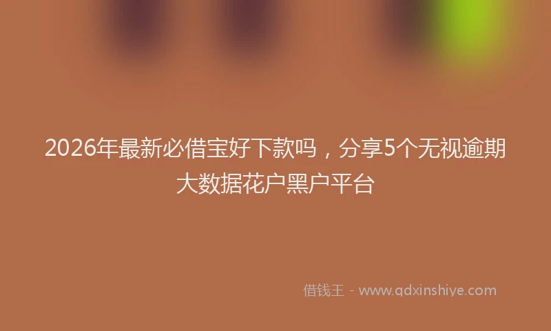 2026年最新必借宝好下款吗，分享5个无视逾期大数据花户黑户平台