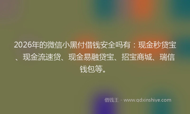 2026年的微信小黑付借钱安全吗有：现金秒贷宝、现金流速贷、现金易融贷宝、招宝商城、瑞信钱包等。