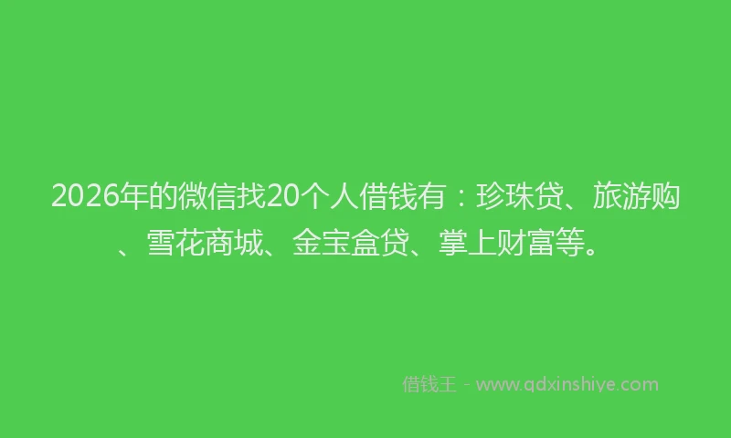 2026年的微信找20个人借钱有：珍珠贷、旅游购、雪花商城、金宝盒贷、掌上财富等。