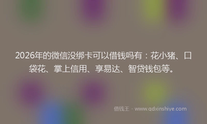 2026年的微信没绑卡可以借钱吗有：花小猪、口袋花、掌上信用、享易达、智贷钱包等。