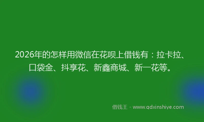 2026年的怎样用微信在花呗上借钱有：拉卡拉、口袋金、抖享花、新鑫商城、新一花等。