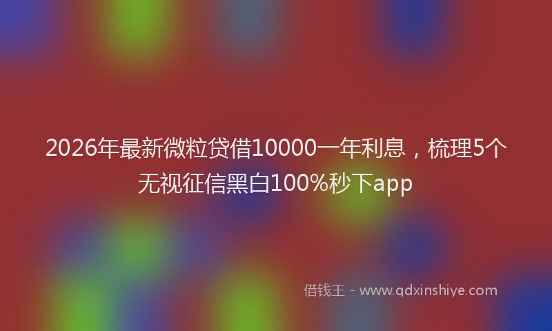 2026年最新微粒贷借10000一年利息，梳理5个无视征信黑白100%秒下app