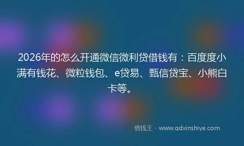 2026年的怎么开通微信微利贷借钱有:百度度小满有钱花、微粒钱包、e贷易、甄信贷宝、小熊白卡等。