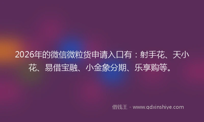 2026年的微信微粒货申请入口有：射手花、天小花、易借宝融、小金象分期、乐享购等。