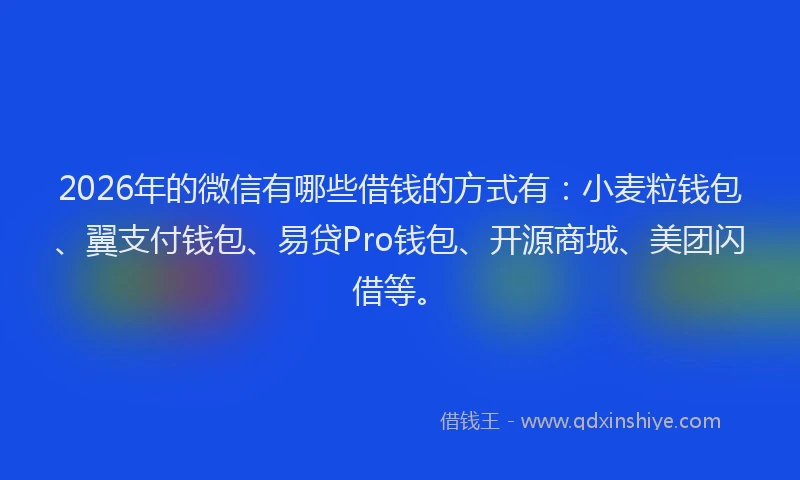 2026年的微信有哪些借钱的方式有：小麦粒钱包、翼支付钱包、易贷Pro钱包、开源商城、美团闪借等。